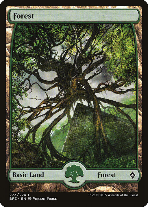 Forest - Full Art