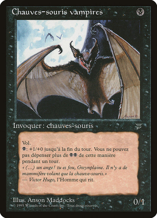 Chauves-souris vampires - Vampire Bats
