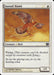 Suntail Hawk