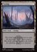 Swamp (Foil)