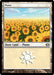 Plains (Foil)