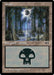 Swamp (Foil)