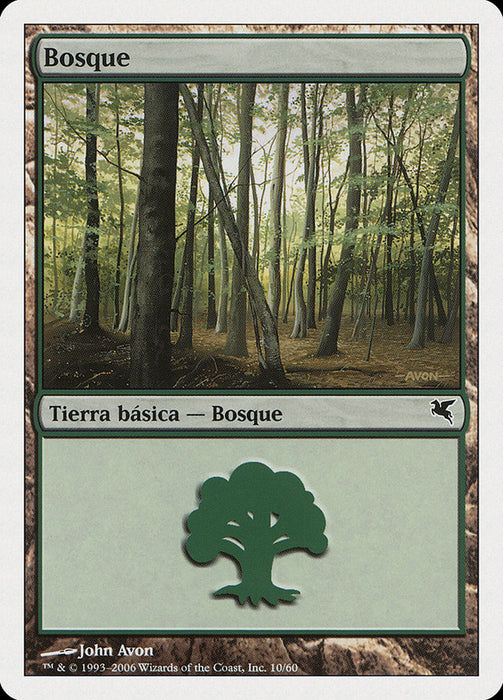 Bosque - Forest