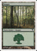 Bosque - Forest