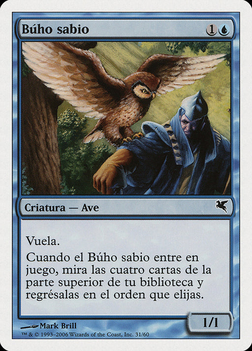 Búho sabio - Sage Owl