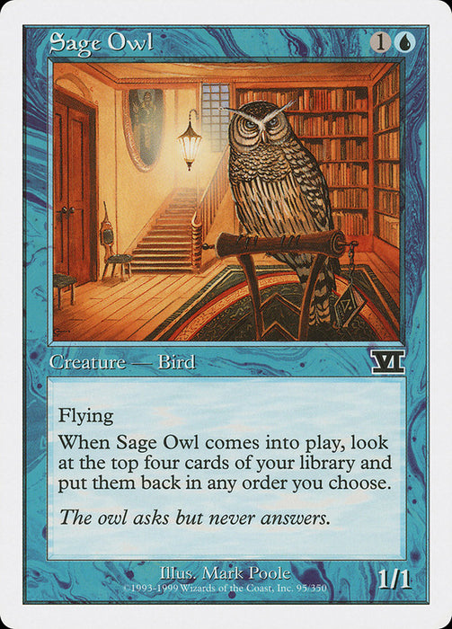 Sage Owl