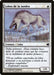Lobos de la tundra - Tundra Wolves