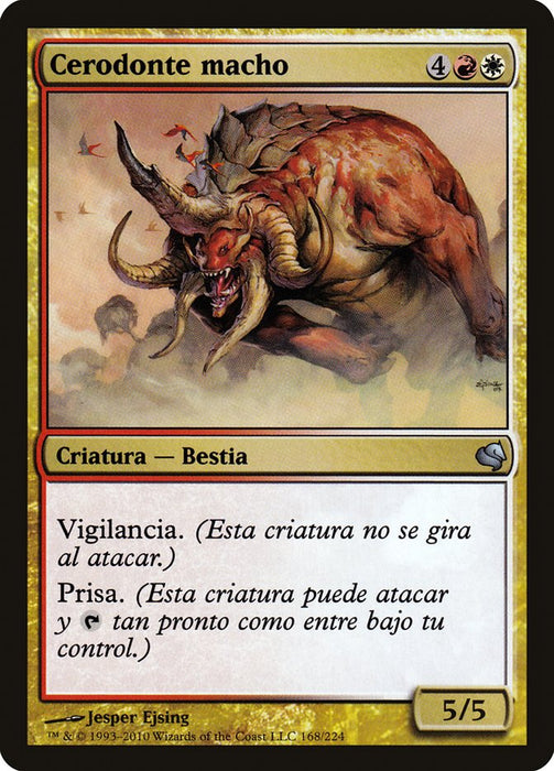 Cerodonte macho - Bull Cerodon