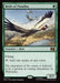 Birds of Paradise - Surge Foil (Foil)