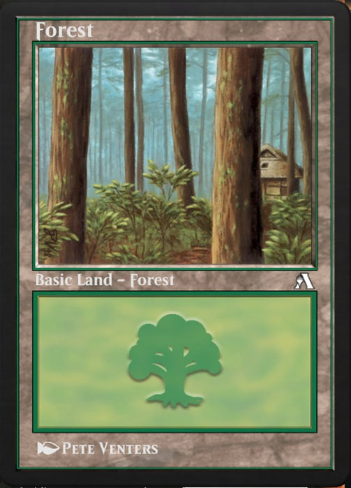 Forest - Retro Frame