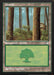 Forest - Retro Frame