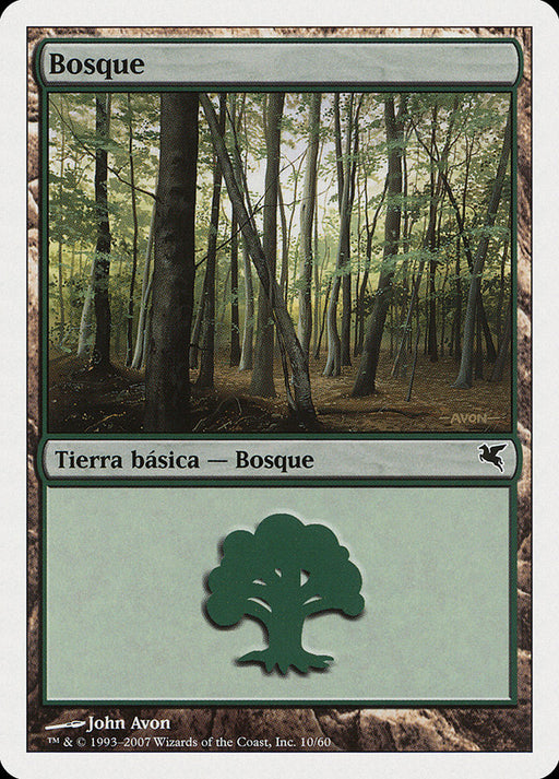 Bosque - Forest