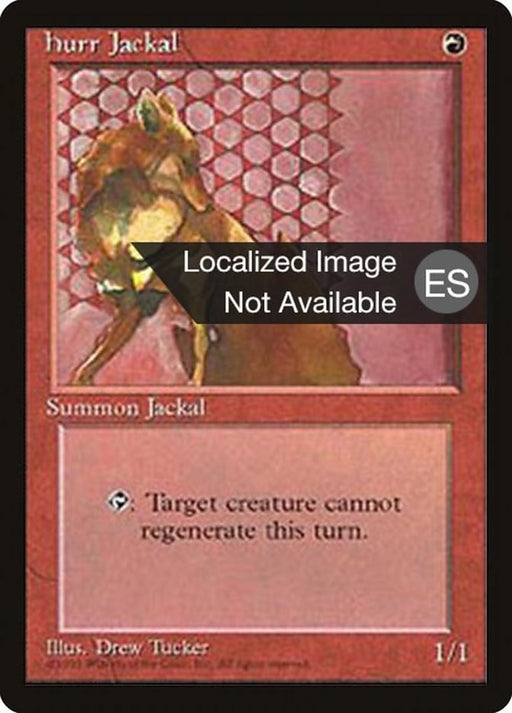 Chacal de Hurr - Hurr Jackal