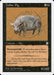 Zodiac Pig