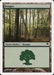 Bosque - Forest