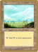 Plains