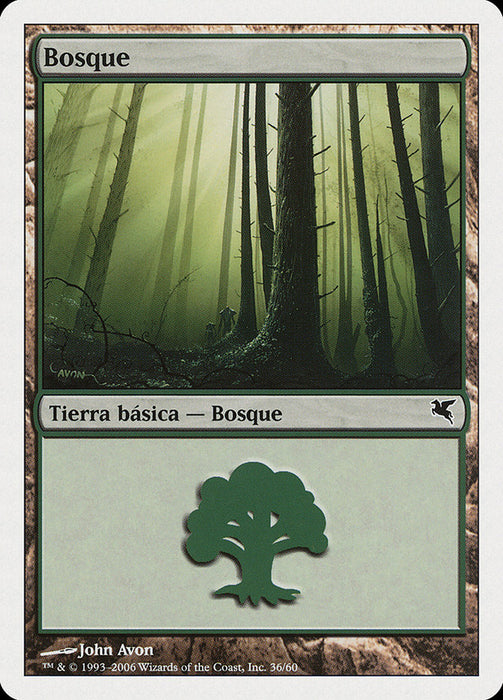 Bosque - Forest