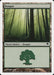 Bosque - Forest