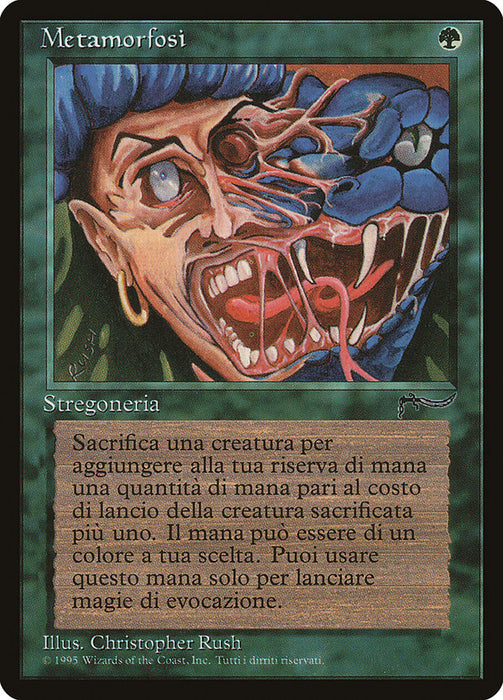 Metamorfosi - Metamorphosis