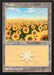 Plains - Retro Frame