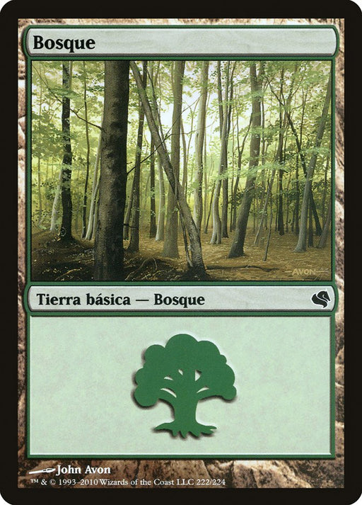 Bosque - Forest