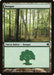 Bosque - Forest