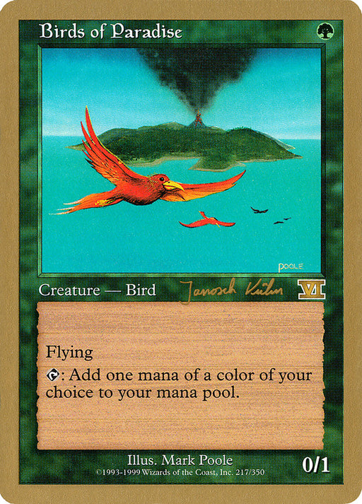 Birds of Paradise