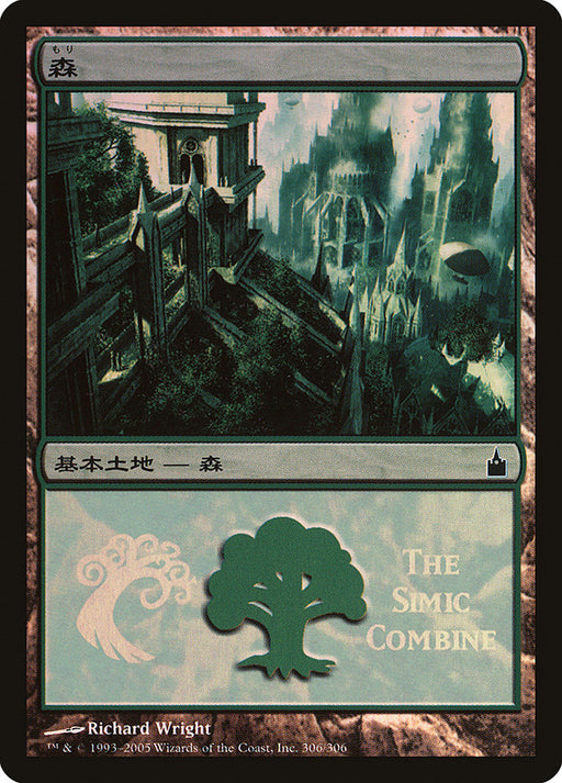 森 - Forest (Foil)