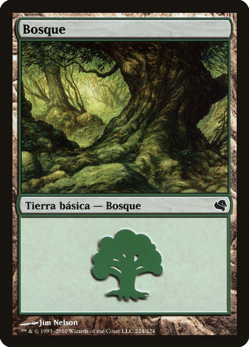 Bosque - Forest