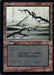 Marais - Swamp