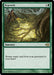 Regrowth (Foil)