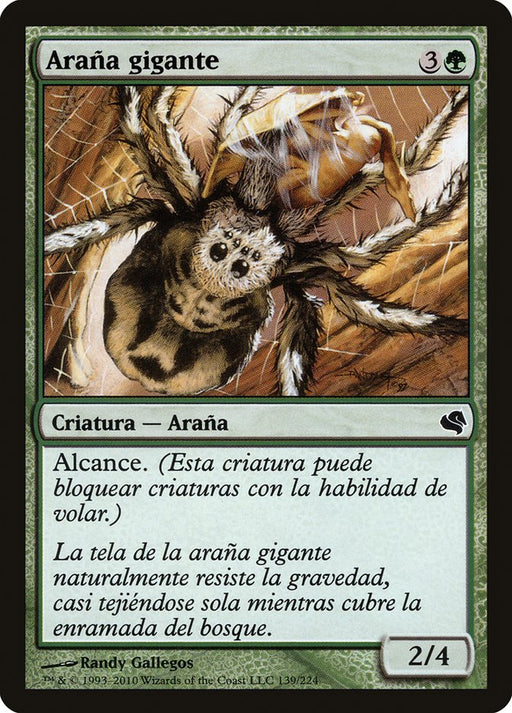 Araña gigante - Giant Spider