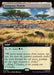 Sungrass Prairie - Extended Art