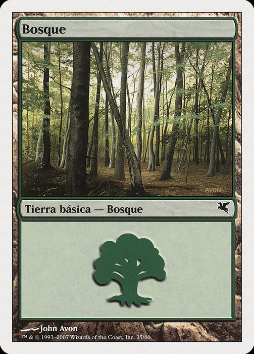 Bosque - Forest