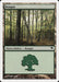 Bosque - Forest