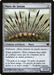 Muro de lanzas - Wall of Spears