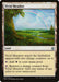 Vivid Meadow