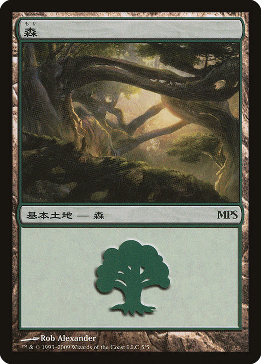 森 - Forest (Foil)