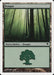 Bosque - Forest