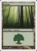 Foresta - Forest