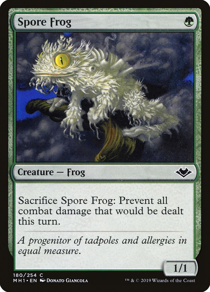 Modern Horizons