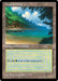 Tropical Island (Foil)
