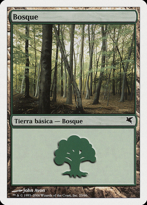 Bosque - Forest