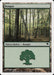 Bosque - Forest