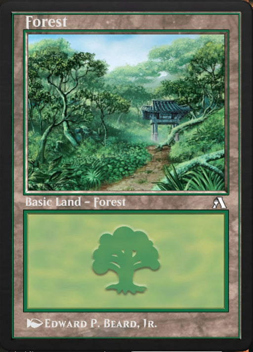 Forest - Retro Frame