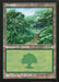 Forest - Retro Frame