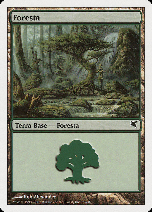 Foresta - Forest