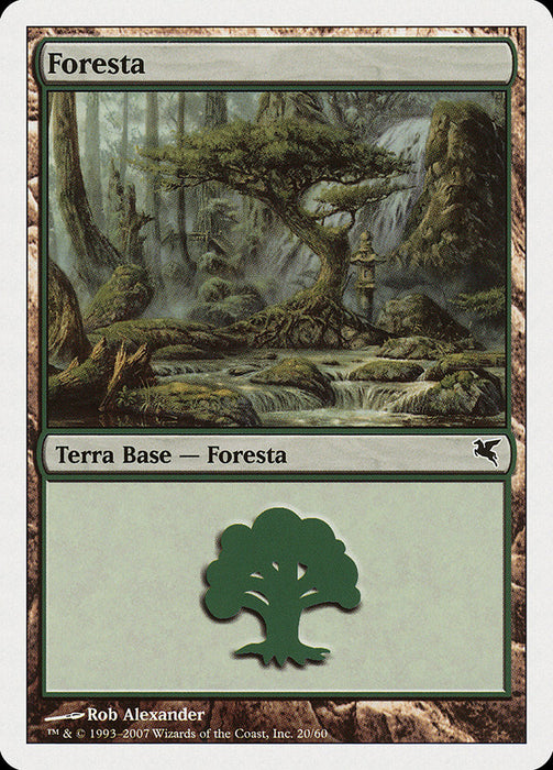 Foresta - Forest