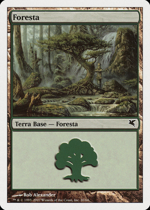 Foresta - Forest