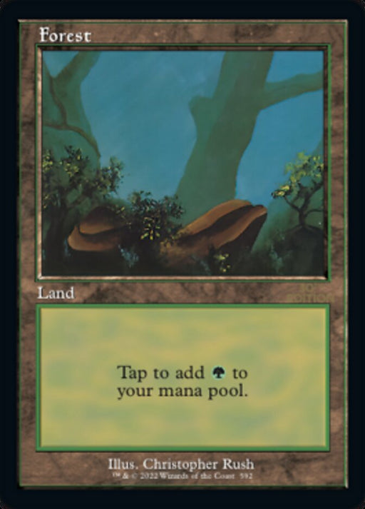 Forest - Retro Frame